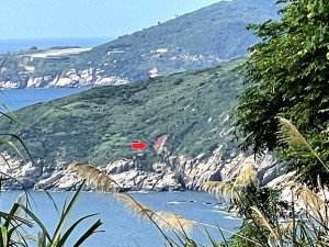 　台灣島型。（圖與文：陳鵬雄）