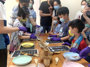 　國立科博館、海保署20日舉辦鯨豚悠游海中秘密講座。（圖／文：馮紹夫）