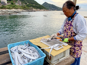 海味十足。（圖與文：陳鵬雄）