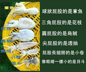 一目了然。（圖：摘自網路／文：陳鵬雄）