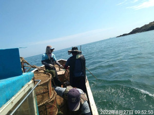 產發處章魚籠清除計畫持續進行中,上週於北竿高登、白廟、中島、大坵及橋仔等海域清除770具章魚籠。(圖:產發處)
