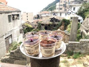 小島風土-好食手作課程推廣食農教育精神,共同學習與製作在地食材特色料理。(圖:產發處)