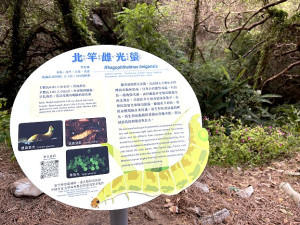 　塘岐蝴蝶谷下方是「北竿雌光螢」保育重點區域，相關單位豎立告示牌提醒鄉親建立保育觀念。（圖／文：陳鵬雄）