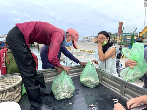 　北竿漁民螃蟹大熱賣，漁獲沒到市場在碼頭就被搶購一空。（圖／文：陳鵬雄）
