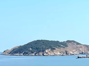黃綠分明。（圖與文：陳鵬雄）