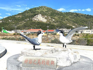 　西元2000年黑嘴端鳳頭燕鷗在北竿中島被發現，北竿也因此有神話之鳥的故鄉稱號。（圖／文：陳鵬雄）