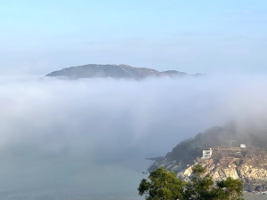 　十月小陽春。（圖與文：陳鵬雄）