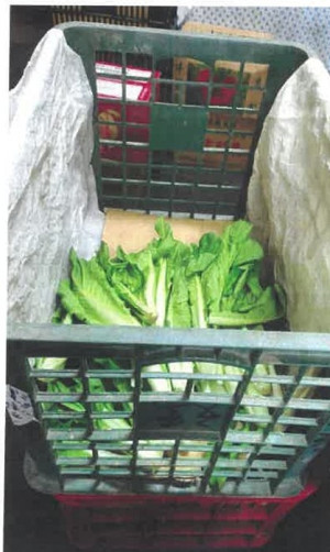 衛福局執行9至10月市售食品抽驗,發現大辣椒、蚵白菜殘留農藥超出法規限量標準,已請攤商將違規產品下架不得販售。(圖:連江縣衛福局)