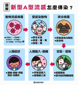 　國內出現第2例自呼吸道疾病病人中分離出H1N2v流感病毒案例，病患已痊癒，衛福局呼籲民眾做好個人健康管理。（圖：連江縣衛福局）