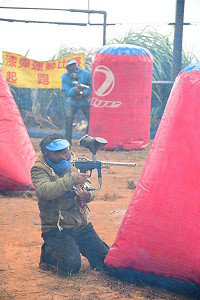 　全村一起來熱鬧！（圖與文：張登傑、陳樂團）