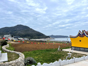 　坂里天后宮後方空地進行整地，準備種下各式花卉形成花海景觀。（圖／文：陳鵬雄）