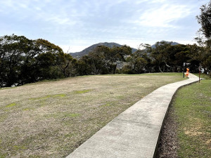 　平頭變光頭。（圖與文：陳鵬雄）