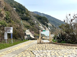 　北竿鄉今年3月將與馬管處及產發處等單位在坂里37據點舉辦植樹活動。（圖／文：陳鵬雄）