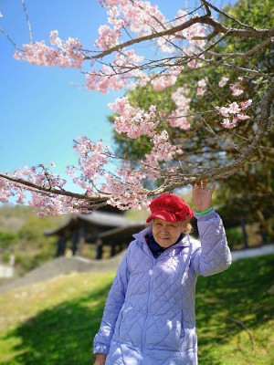 葉福仙83歲與櫻花留下美麗合影。(圖:曹祥官)