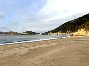 　被遺忘的海角樂園。（圖與文：陳鵬雄）
