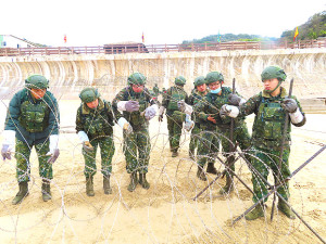 官兵調整蛇腹型鐵絲。(圖:鄭真)
