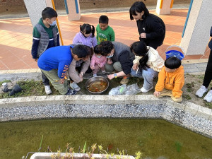 東莒國小校區內閒置的魚池2日經重新整理、放入魚苗正式重新啟用。(圖/文:蔡夢玲)