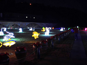 台灣燈會花燈典藏,馬祖微光等你來探索。(圖:馬管處)