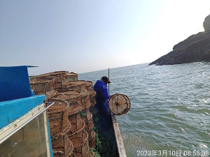 產發處委託業者10日進行大陸越界漁具打撈作業,共清除569具章魚籠。(圖:產發處)