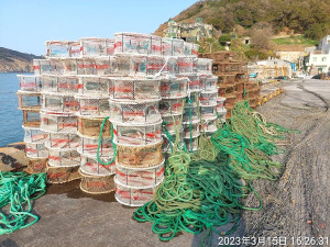 　產發處持續執行海域章魚籠具清除，12日、15日共清除734具。（圖：產發處）