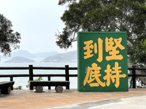 　非打不可。（圖／文：陳鵬雄）