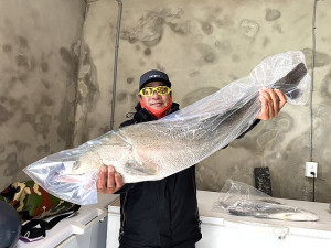 15斤鱸魚出水!由東犬168號觀光娛樂漁船船長陳怡忠釣獲。(圖/文:蔡夢玲、東犬168號觀光娛樂漁船提供)