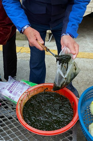　看起來黑糊糊的「菜垢」，外觀雖不討好，但是產量少、營養高，一（馬）斤可以叫價到350元。（圖／文：陳其敏）