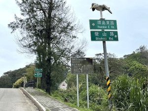 　改善道路指示牌立桿雜亂困擾，北竿鄉公所今年將試辦共桿計畫。（圖／文：陳鵬雄）