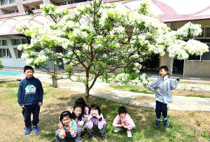 記下美麗時刻。（圖與文：陳其敏）