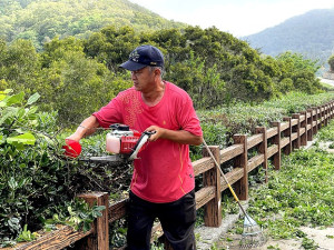 　剃平頭。（圖／文：陳鵬雄）