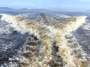 　馬尿水。（圖與文：陳鵬雄）