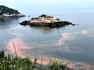 　北竿西側海域14日再現今年第2波量大赤潮，預期近日淚況會較佳。（圖／文：陳鵬雄）