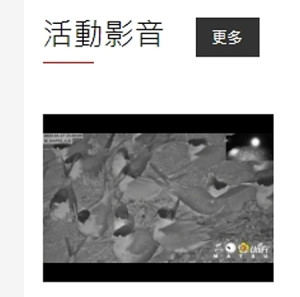 鐵尖島鳥況即時監控畫面很精彩,本報電子報直播神話之鳥繁殖,歡迎新版「活動影音」區觀賞。(圖:本報資料室)