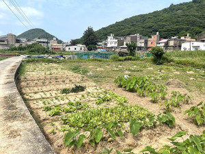 期待轉型重生。（圖與文：陳鵬雄）