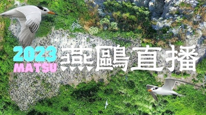 台北鳥會鐵尖島燕鷗直播頻道將在近日關閉,鳥會已正式張貼公告。(圖:台北鳥會)