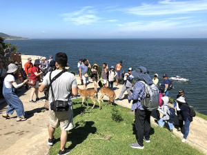 　端午連假第2天大坵島總共有805人登島，創下單日最高紀錄。（圖：本報資料室）