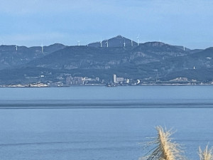 　你來我往，近在咫尺。（圖／文：陳鵬雄）