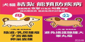 產發處邀請動保團體貓天堂7月3日、4日兩天在動物之家提供結紮、健檢、注射疫苗等服務。(圖:產發處)