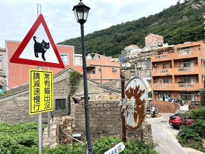 復興村設置一面可愛的「貓出沒」告示牌,提醒用路人減速慢行,注意貓咪安全。(圖/文:馮紹夫)