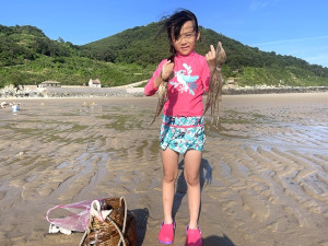章魚來了!連江縣政府禁放章魚籠成效顯著,西莒坤坵沙灘章魚現蹤,遊客巧遇,驚呼連連。(圖/文:宋幸儒)