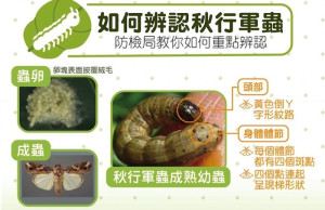 圖/農委會臉書