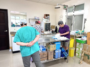 產發處邀請貓天堂獸醫團隊來馬執行流浪貓絕育手術,2天共完成25件手術。(圖:產發處)