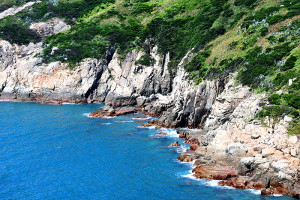 　5月中旬飛抵東引大紫澳繁殖的黑尾鷗族群，全數消失無蹤，棄巢原因不明。（圖／文：陳其敏）