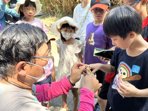 產發處、文化大學森林暨自然保育學系舉行南竿兩棲爬行動物生態導覽。(圖/文:馮紹夫)