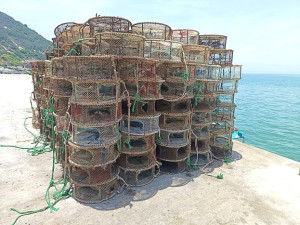 產發處持續清除海底廢棄及違規漁網具,今年累計已清除2萬公斤,清除作業持續進行中。(圖:產發處)