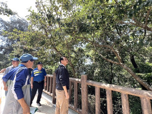 為避免爬藤植物造成植栽死亡,縣長王忠銘21日率產發處環島現勘,並指示加強修剪。(圖/文:馮紹夫)