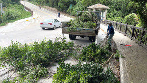 產發處同仁在颱風前已進行危險路樹清除,這次颱風未傳出災情。(圖:產發處)
