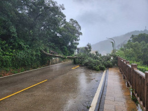 颱風杜蘇芮28日帶來強風大雨,縣立醫院前路樹傾倒。(圖:災害應變中心)