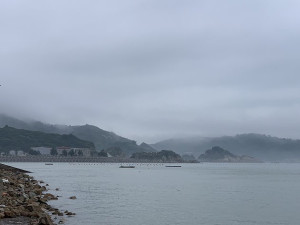 　雲霧迷濛。（圖與文：林冰芳）