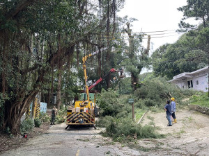 中度颱風「卡努」逼近,莒光鄉公所,莒光守備大隊、西莒發電廠及莒光消防分隊一起出動鋸樹,做好防颱準備。(圖/文:宋幸儒)